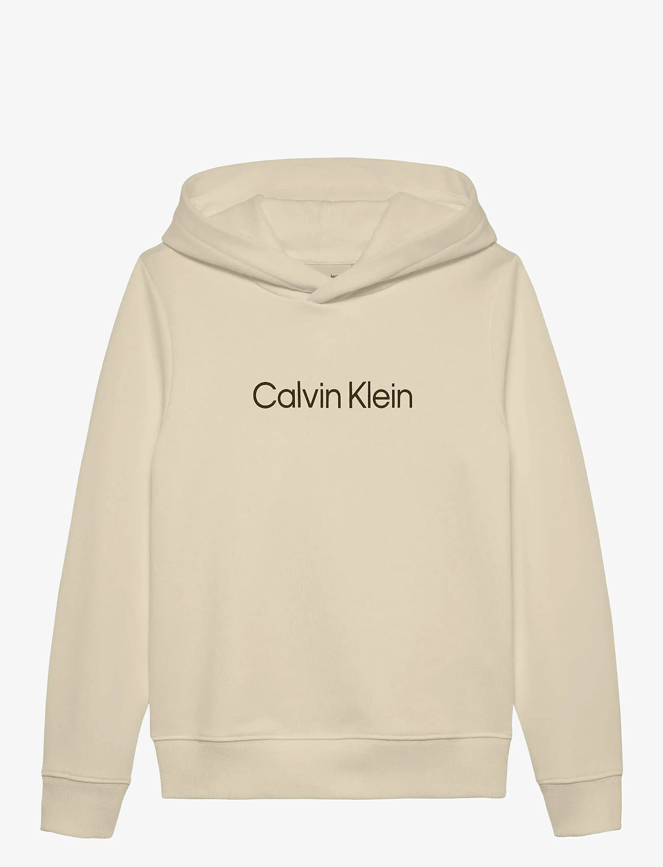 Calvin Klein - INST. LOGO REG. TERRY HOODIE - kapuutsiga dressipluusid - whitecap gray - 0