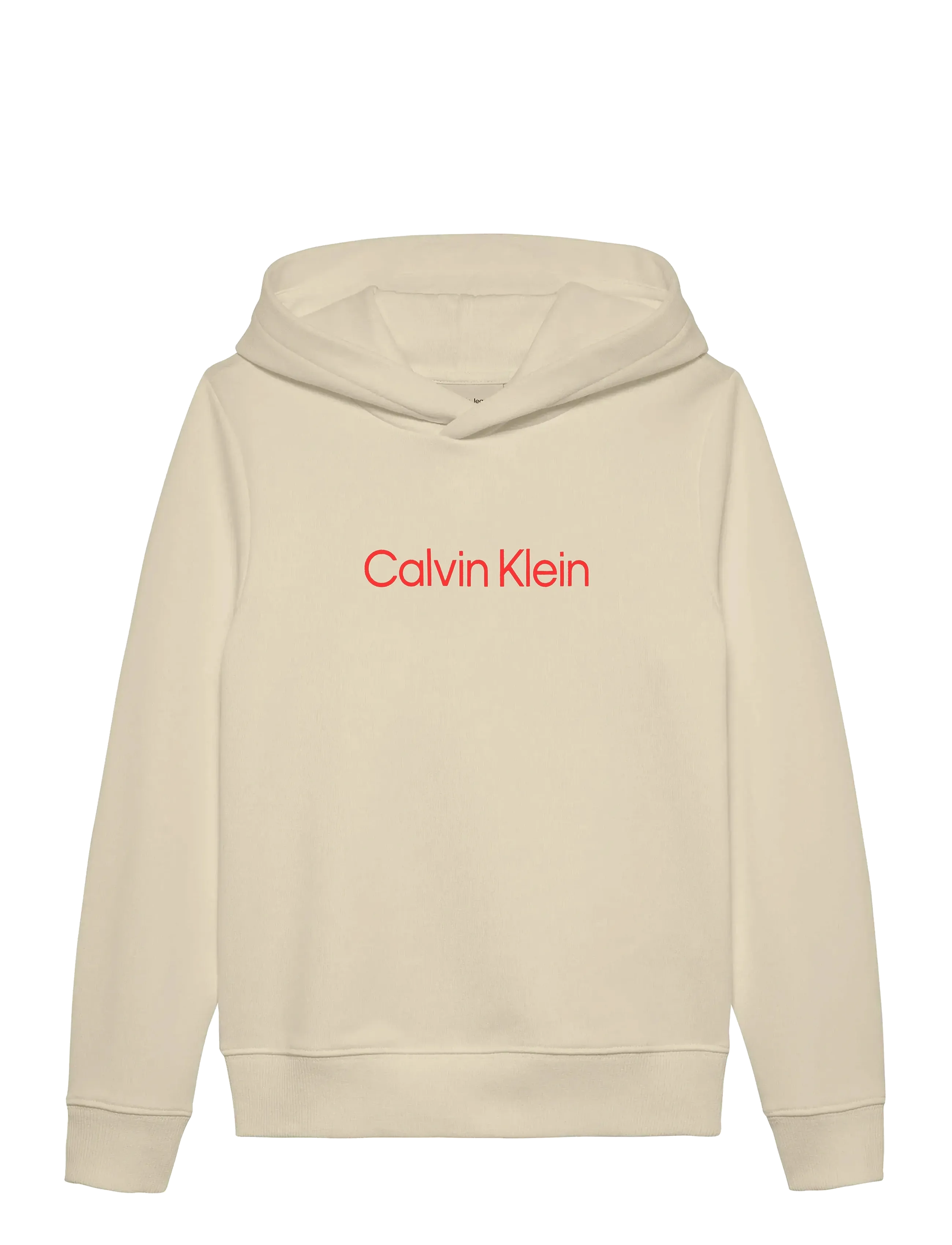 Calvin Klein INST. LOGO REG. TERRY HOODIE - Överdelar - WHITECAP GRAY / beige
