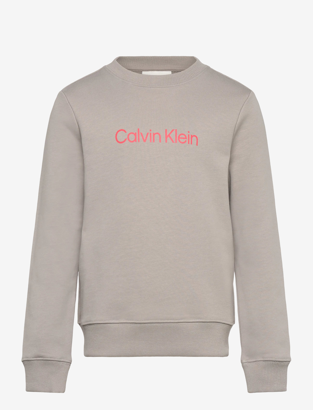 Calvin Klein - INST. LOGO REGULAR CN - sweatshirts - mourning dove - 1