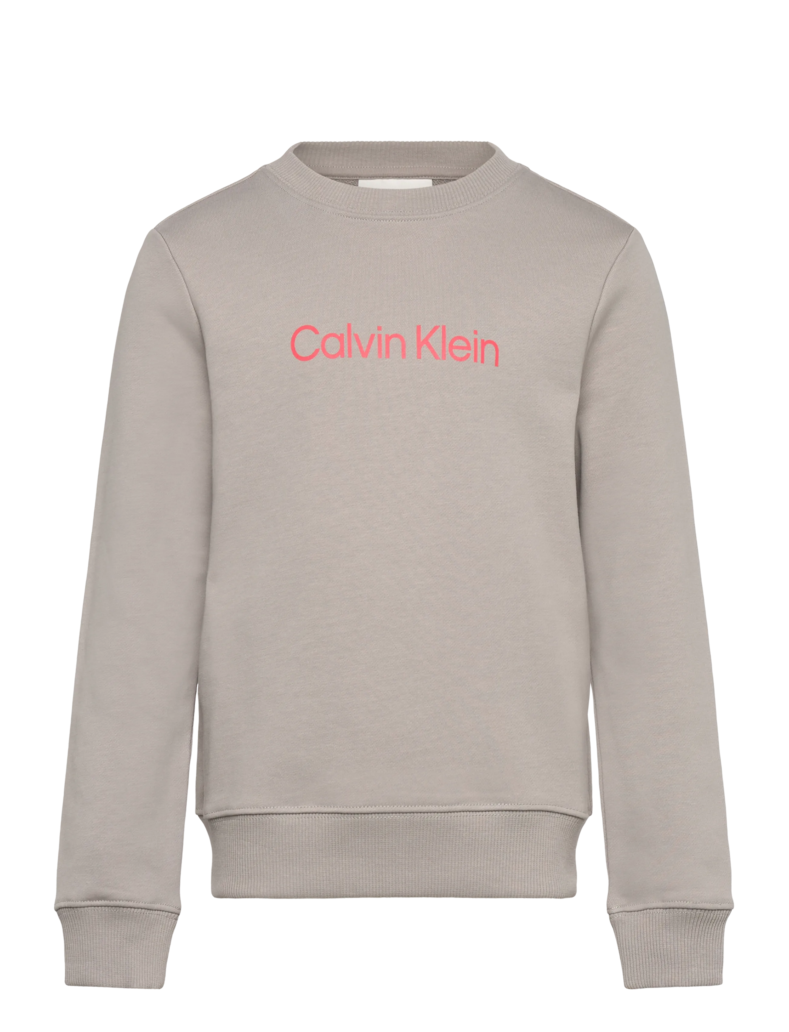 Calvin Klein INST. LOGO REGULAR CN - App deal - MOURNING DOVE / beige