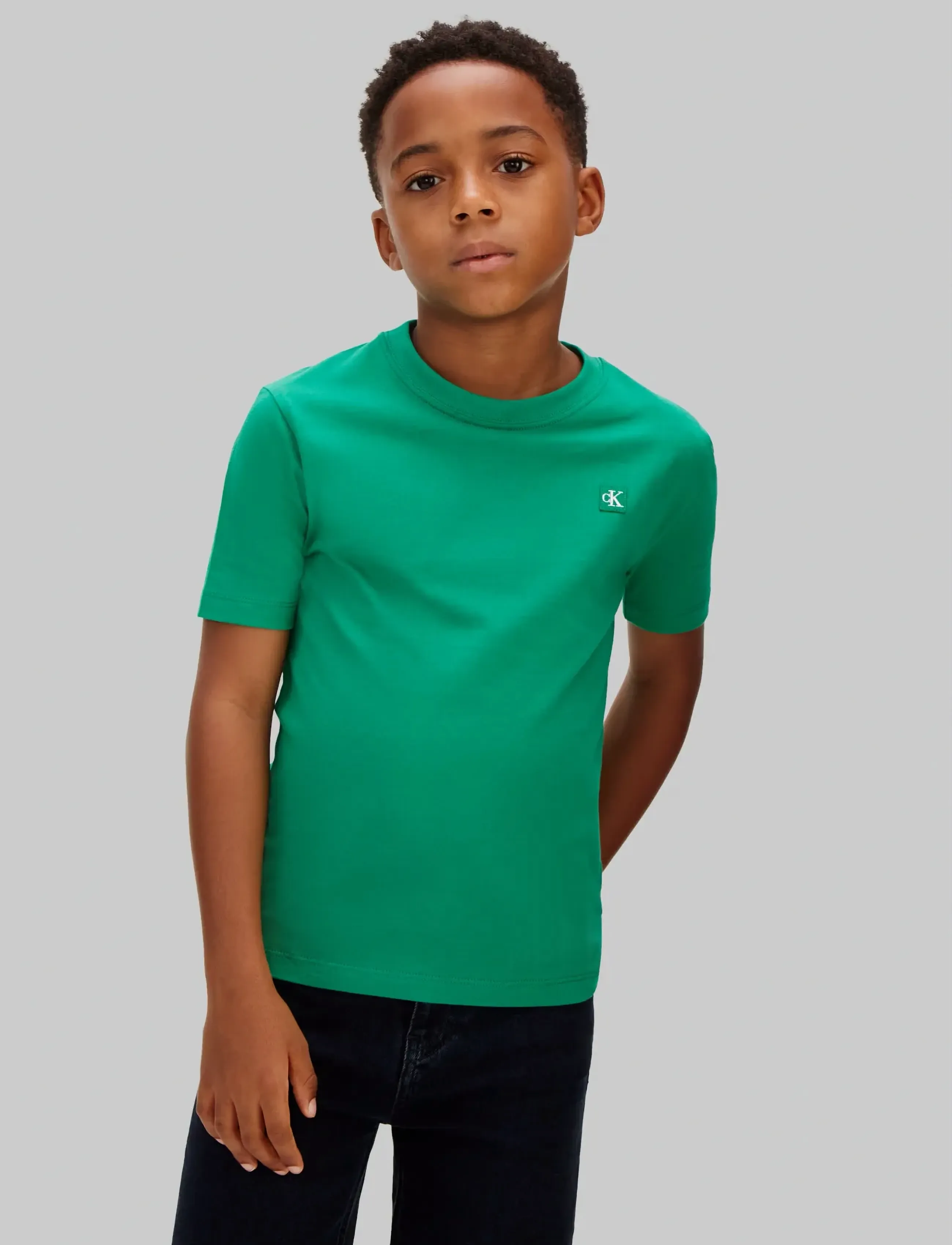 Calvin Klein MONO MINI BADGE REG T-SHIRT - Kortärmade t-shirts - LUSH MEADOW 18-5845 TCX / green