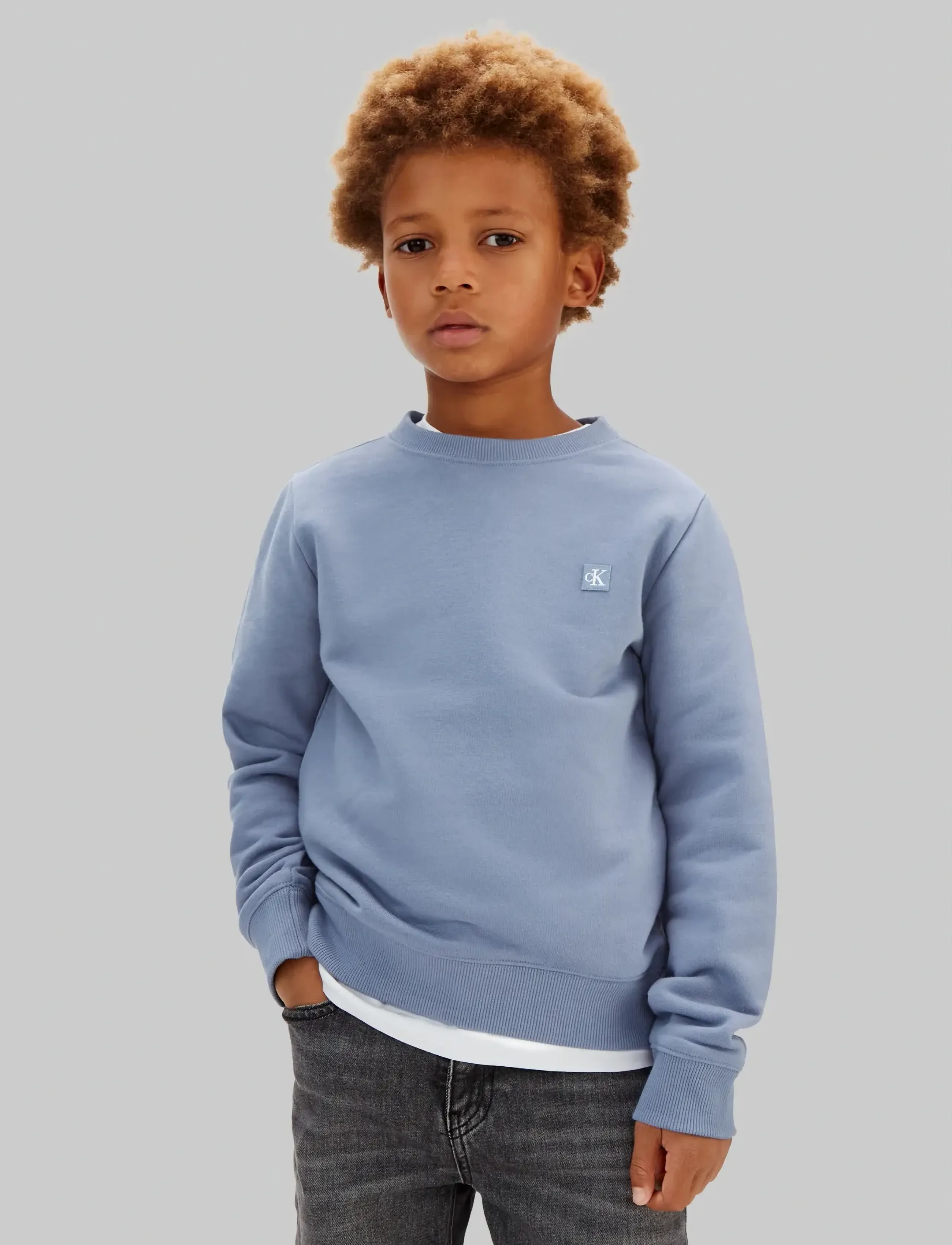 Calvin Klein MINI BADGE REG CN - Sweatshirts - INFINITY 17-4015 TCX / blue