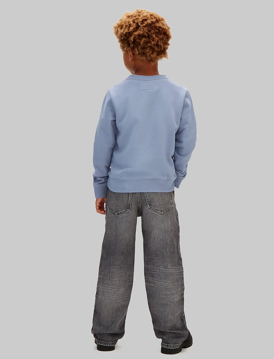 Calvin Klein - MINI BADGE REG CN - sweatshirts - infinity 17-4015 tcx - 3