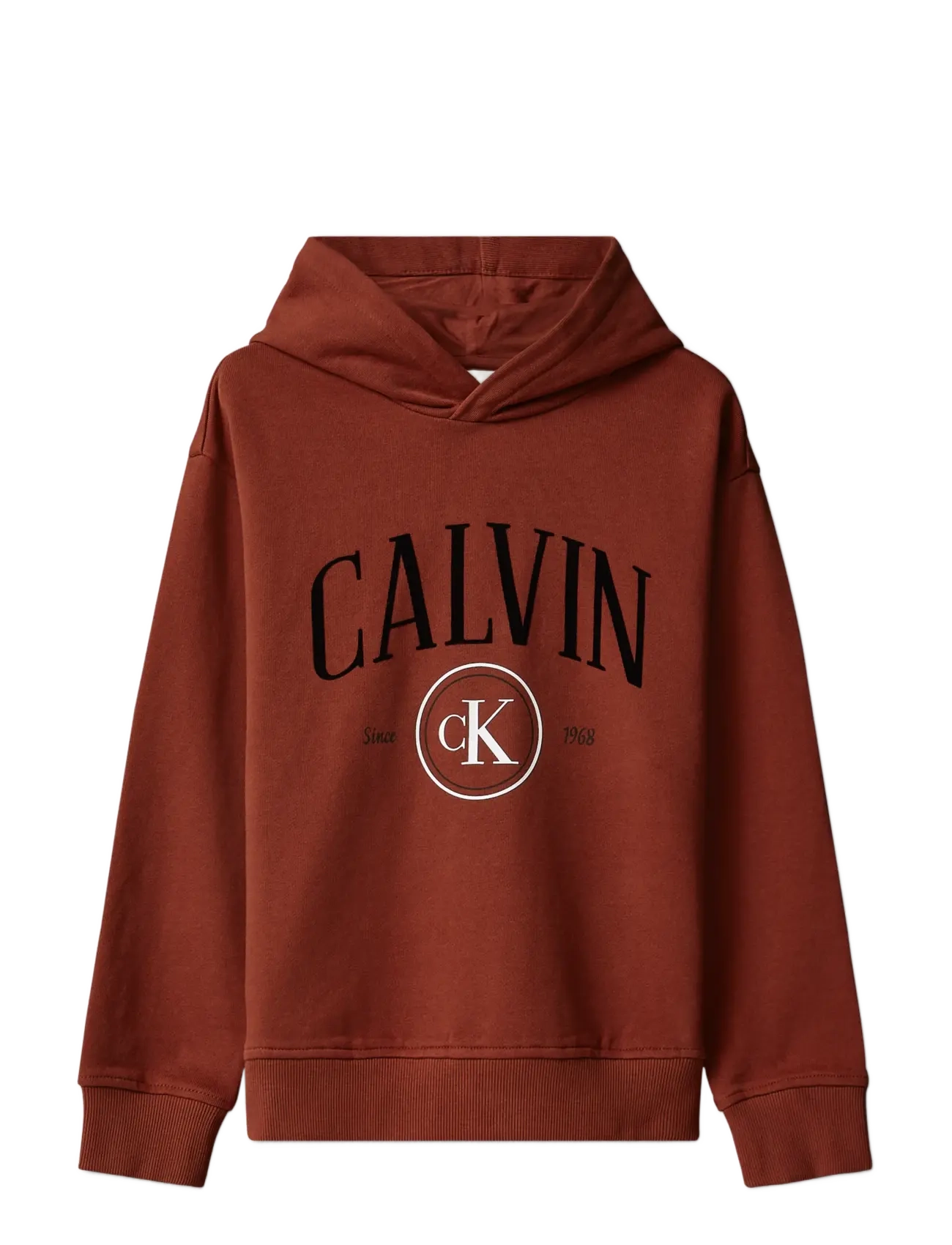 Calvin Klein CALVIN CK CIRCLE HOODIE - Back to school - FIRED BRICK / brown