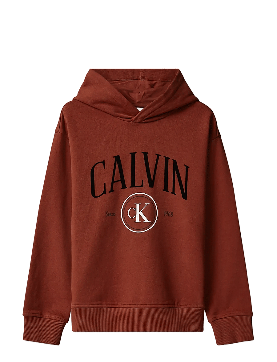 Calvin Klein - CALVIN CK CIRCLE HOODIE - kapuutsiga pusad - fired brick - 1