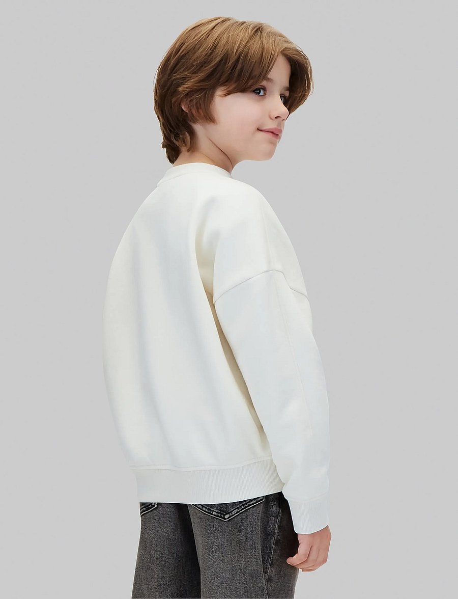 Calvin Klein - CALVIN APPLIQUE CN SWEATSHIRT - sweatshirts - turtledove - 2