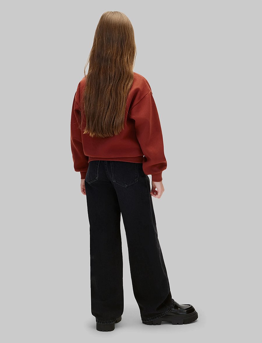 Calvin Klein - SEASONAL MONOLOGO CN SWEATSHIRT - dressipluusid - fired brick - 2