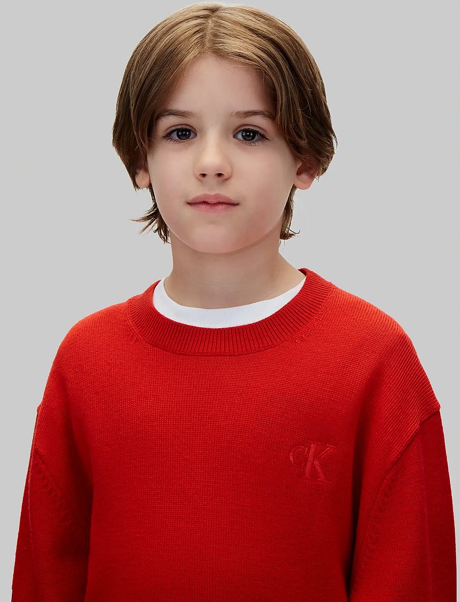 Calvin Klein - CK MERINO OVERSIZED SWEATER - stickade tröjor - goji berry - 4