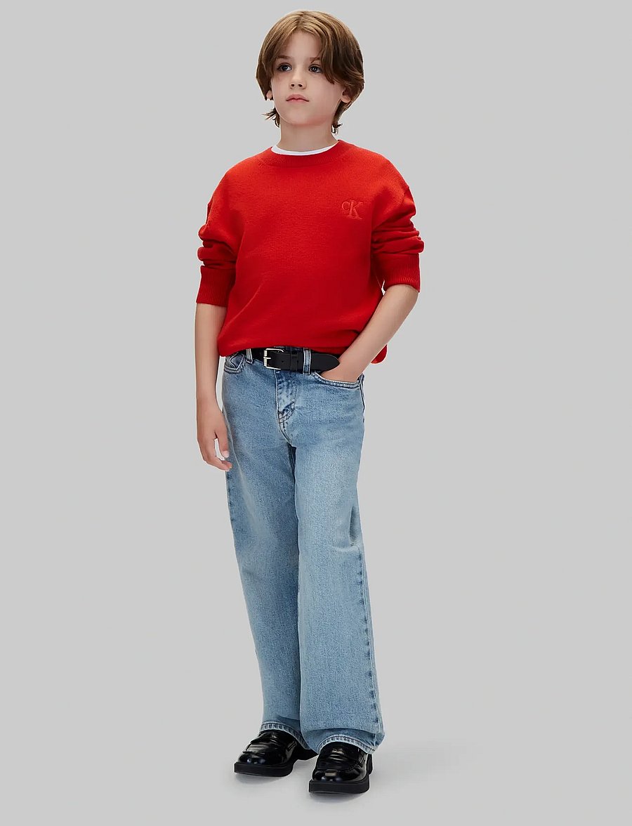 Calvin Klein - CK MERINO OVERSIZED SWEATER - stickade tröjor - goji berry - 5