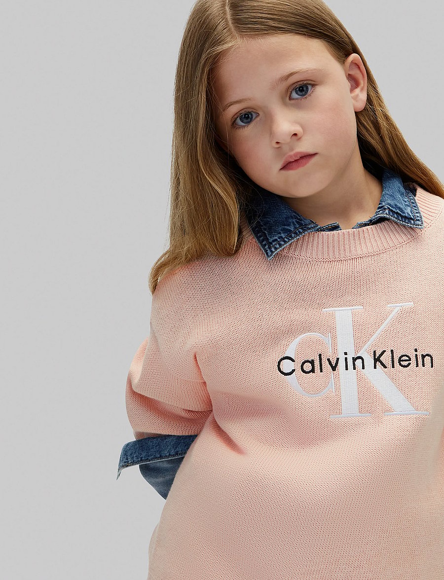 Calvin Klein - MONOLOGO CN SWEATER - pullover - spanish villa - 4
