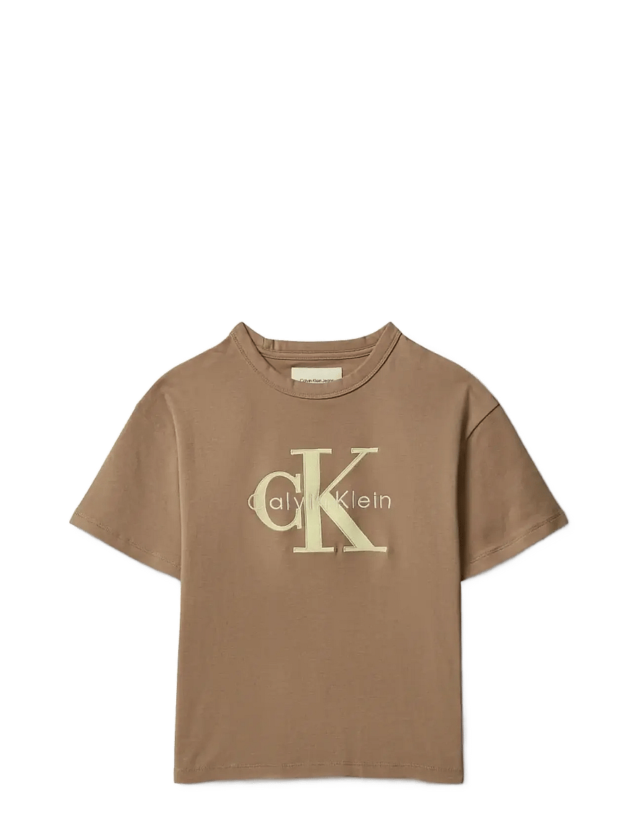 Calvin Klein - MESH APPLIQUE SS T-SHIRT - kurzärmelige - f&t 17-1038 tcx tigers eye - 1