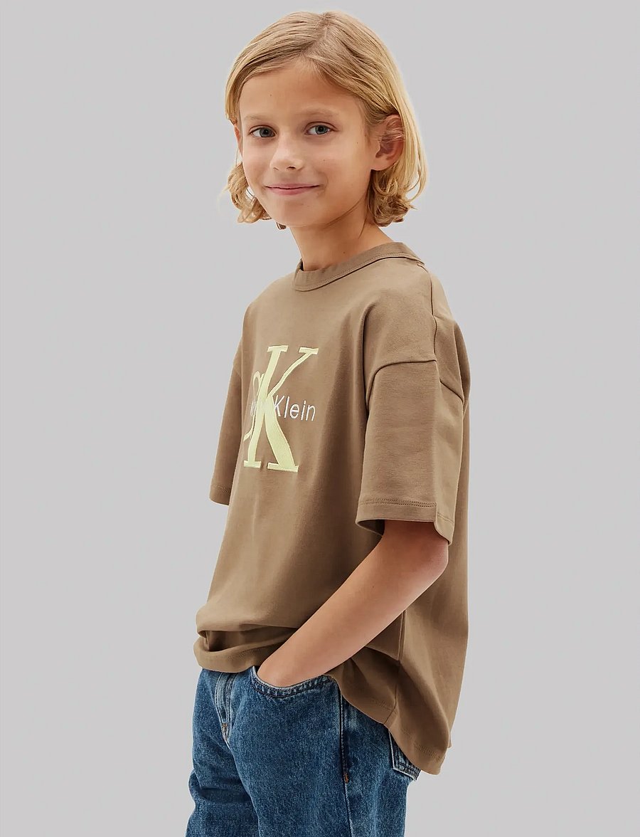 Calvin Klein - MESH APPLIQUE SS T-SHIRT - kurzärmelige - f&t 17-1038 tcx tigers eye - 2