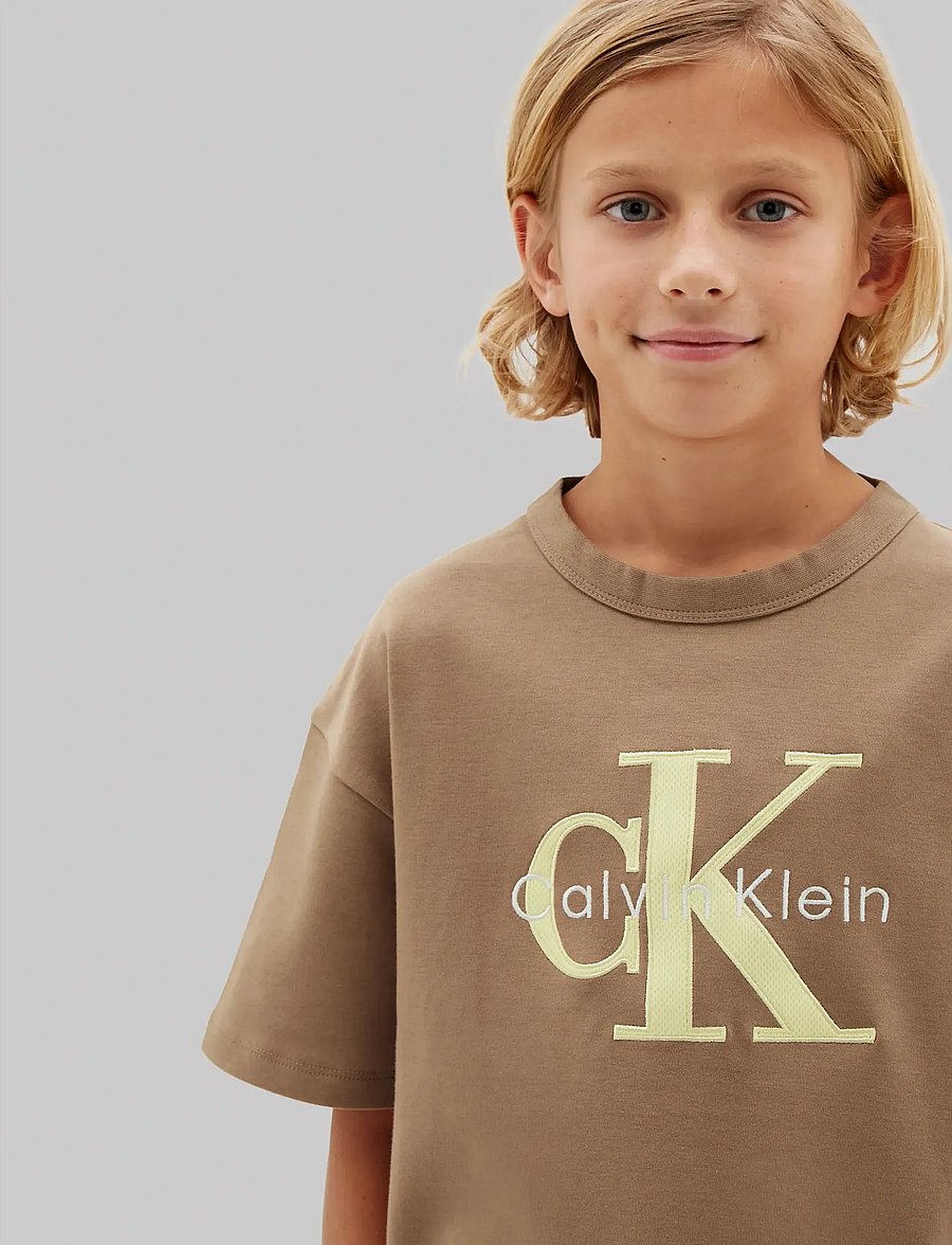 Calvin Klein - MESH APPLIQUE SS T-SHIRT - kurzärmelige - f&t 17-1038 tcx tigers eye - 4