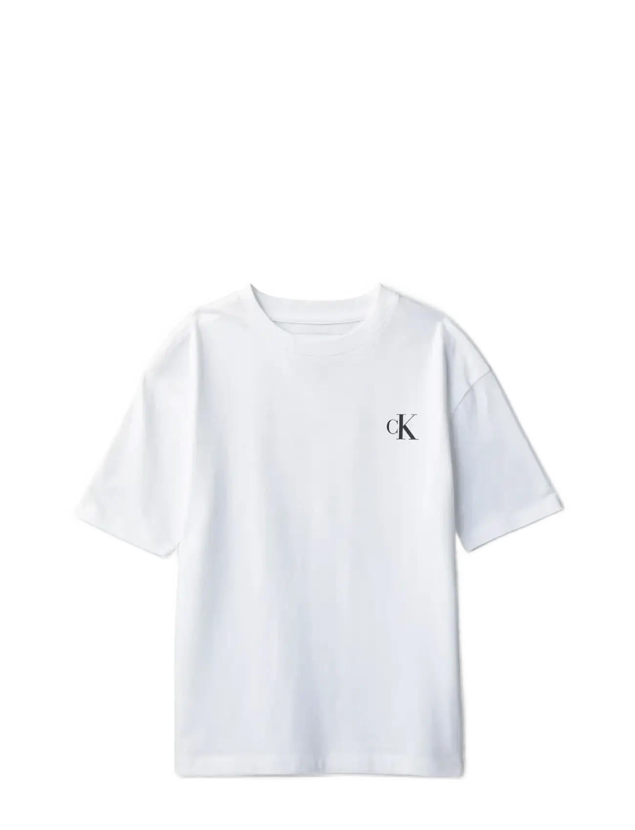 Calvin Klein BRIDGE SS T-SHIRT - Clothing - WHITE 11-0601 TCX / white