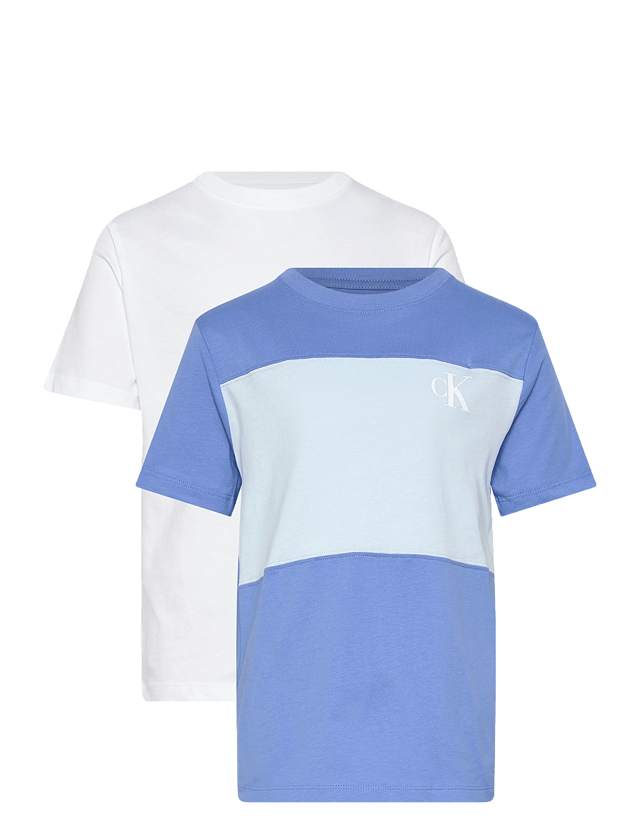 Calvin Klein - COLOR BLOCK 2-P T-SHIRTS - kortærmede t-shirts - provence 16-4032 tcx - 1