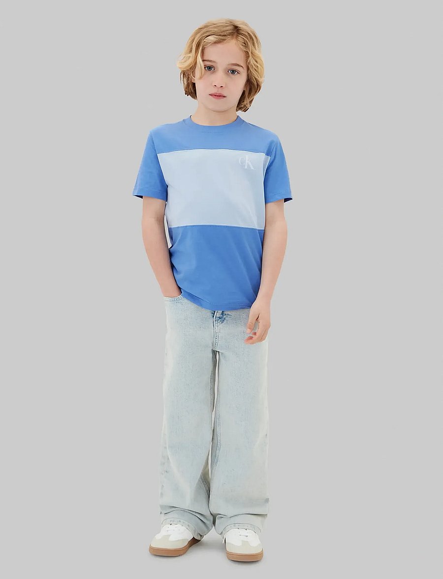 Calvin Klein - COLOR BLOCK 2-P T-SHIRTS - kortærmede t-shirts - provence 16-4032 tcx - 4