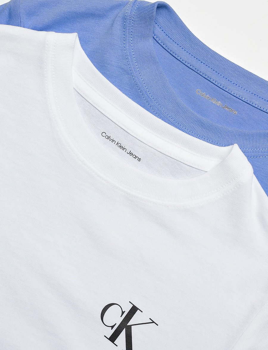 Calvin Klein - COLOR BLOCK 2-P T-SHIRTS - kortærmede t-shirts - provence 16-4032 tcx - 5