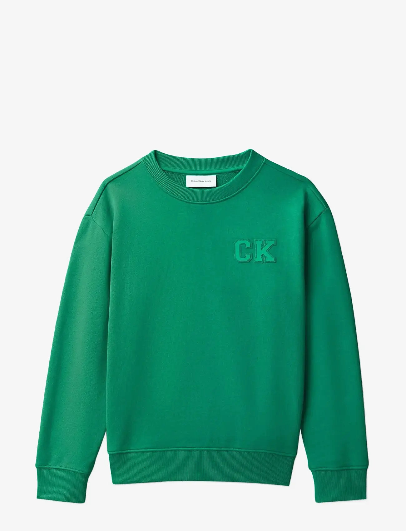 Calvin Klein - RELAXED CREWNECK - sweatshirts - lush meadow 18-5845 tcx - 1