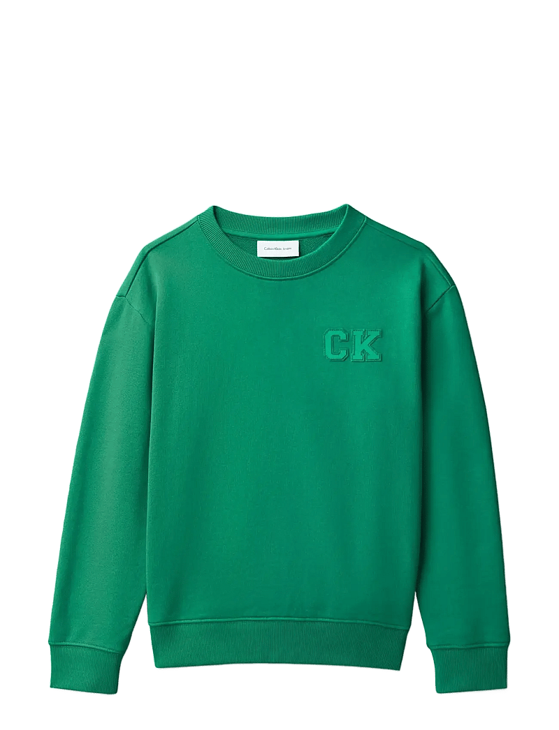 Calvin Klein - RELAXED CREWNECK - sweatshirts - lush meadow 18-5845 tcx - 1