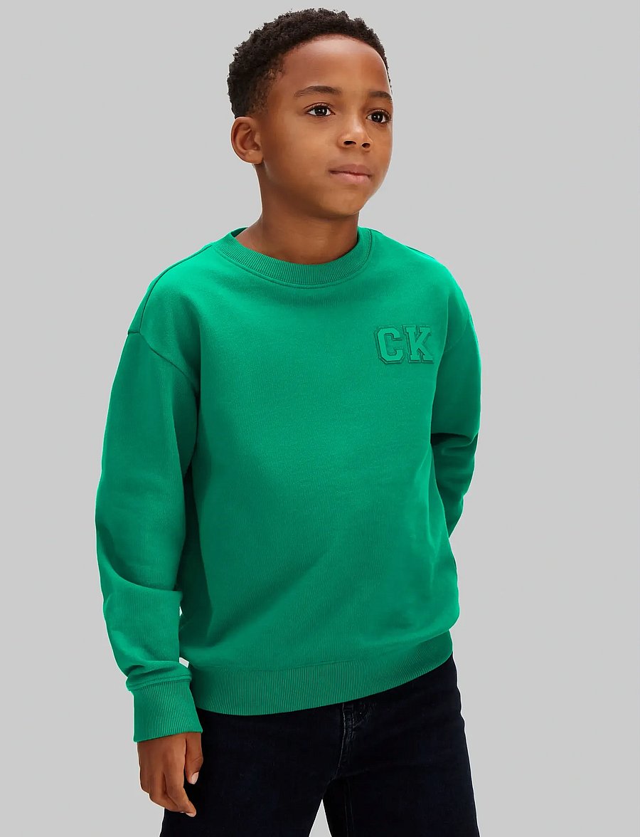 Calvin Klein - RELAXED CREWNECK - sweatshirts - lush meadow 18-5845 tcx - 0