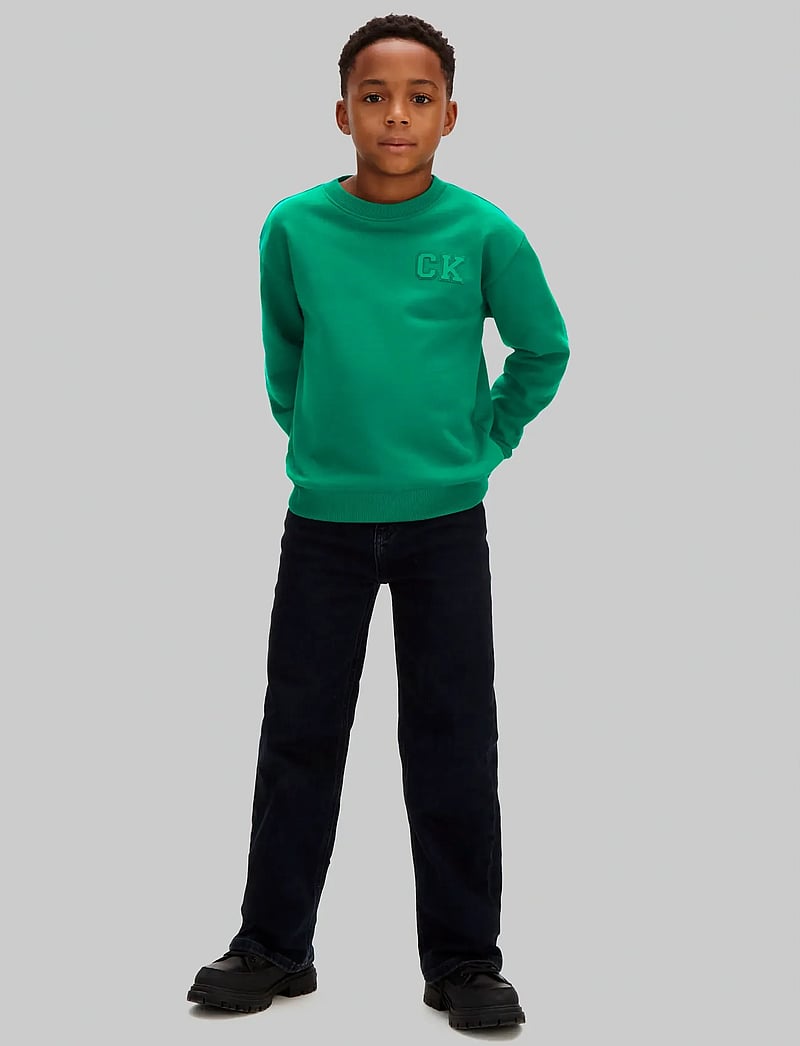 Calvin Klein - RELAXED CREWNECK - sweatshirts - lush meadow 18-5845 tcx - 2