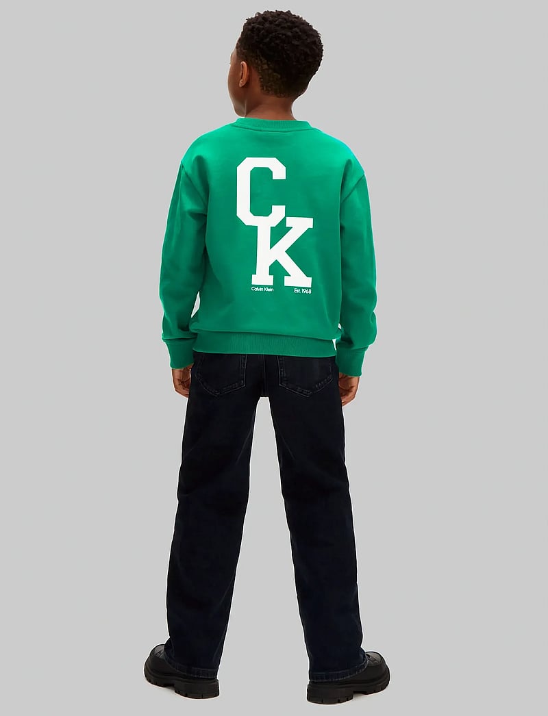Calvin Klein - RELAXED CREWNECK - sweatshirts - lush meadow 18-5845 tcx - 3