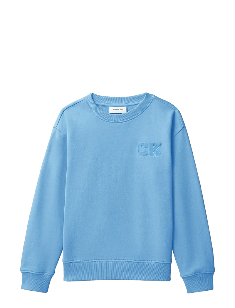 Calvin Klein - RELAXED CREWNECK - sweatshirts - provence 16-4032 tcx - 1
