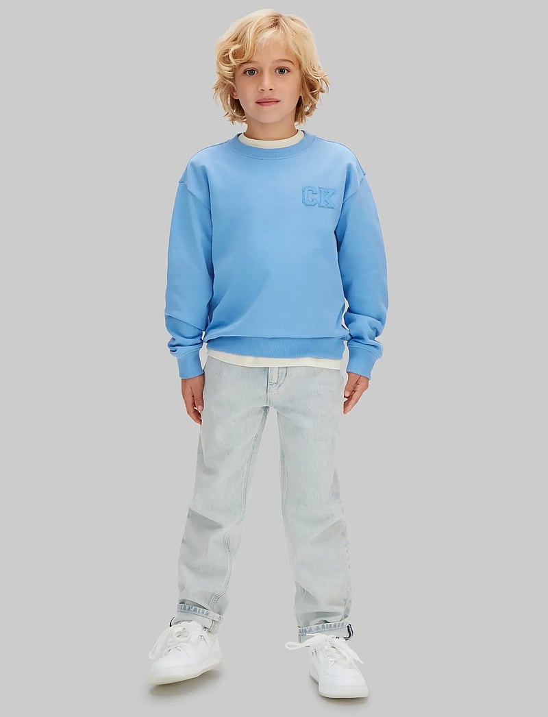 Calvin Klein - RELAXED CREWNECK - sweatshirts - provence 16-4032 tcx - 2