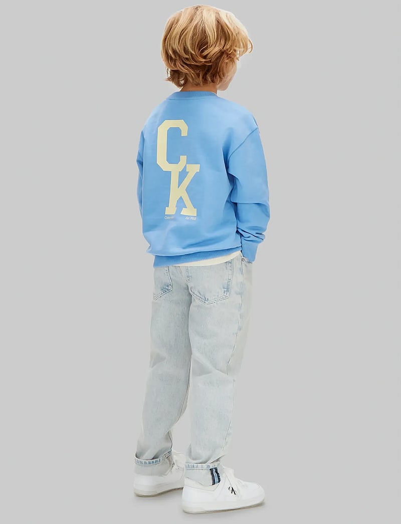 Calvin Klein - RELAXED CREWNECK - sweatshirts - provence 16-4032 tcx - 3