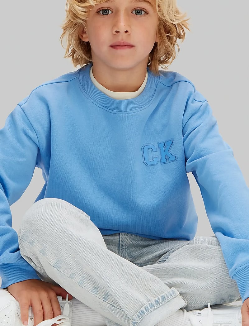 Calvin Klein - RELAXED CREWNECK - sweatshirts - provence 16-4032 tcx - 4
