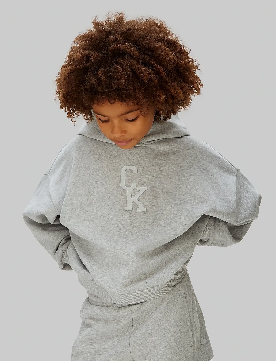 Calvin Klein - CK HOODED SWEATSHIRT - kapuutsiga pusad - 3-lt grey heather - 3
