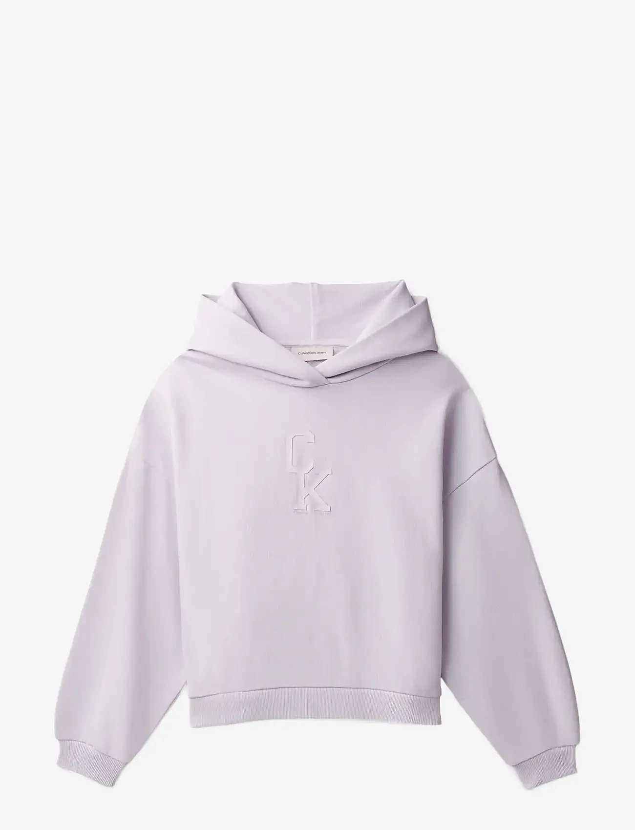 Calvin Klein - CK HOODED SWEATSHIRT - kapuutsiga dressipluusid - island lilac - 1