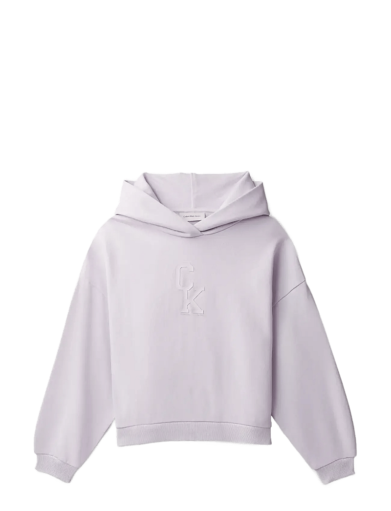 Calvin Klein - CK HOODED SWEATSHIRT - kapuutsiga dressipluusid - island lilac - 1