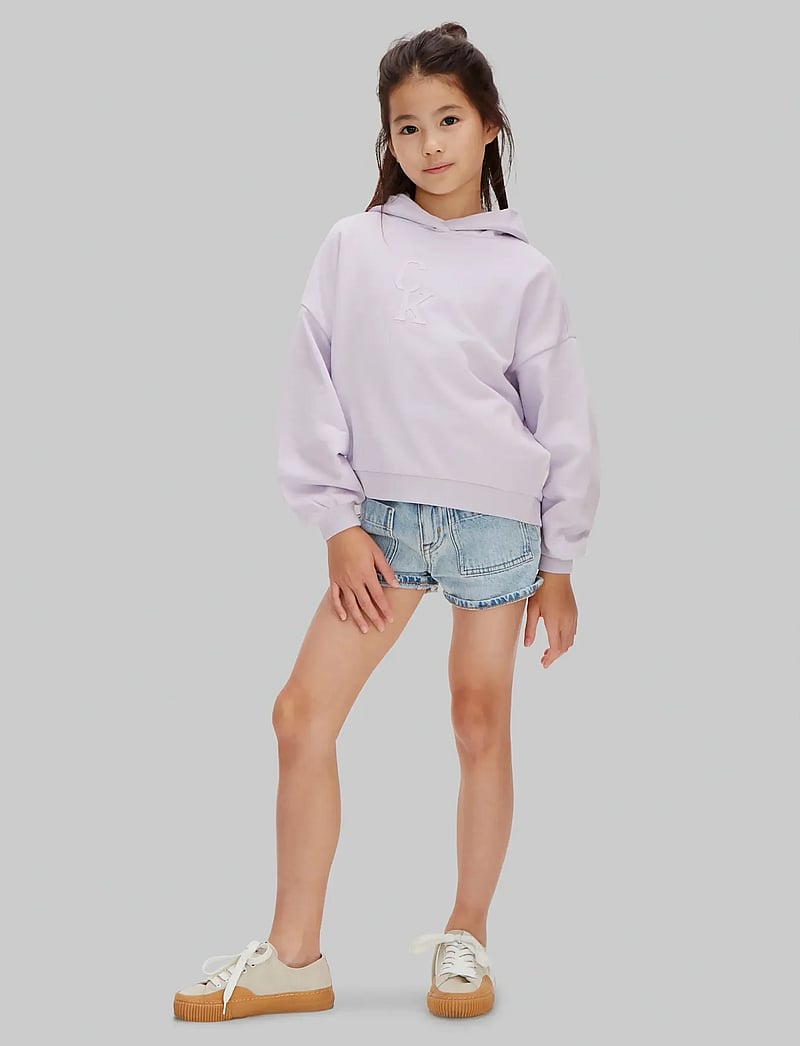 Calvin Klein - CK HOODED SWEATSHIRT - kapuutsiga dressipluusid - island lilac - 2
