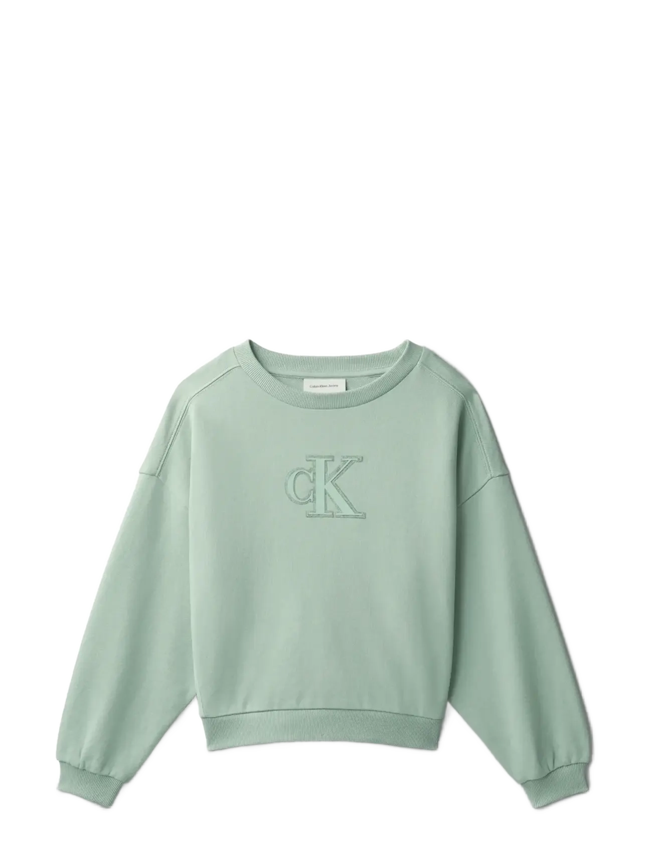 Calvin Klein CK CREWNECK SWEATSHIRT - Overdele - JADEITE 16-5304 TCX / green