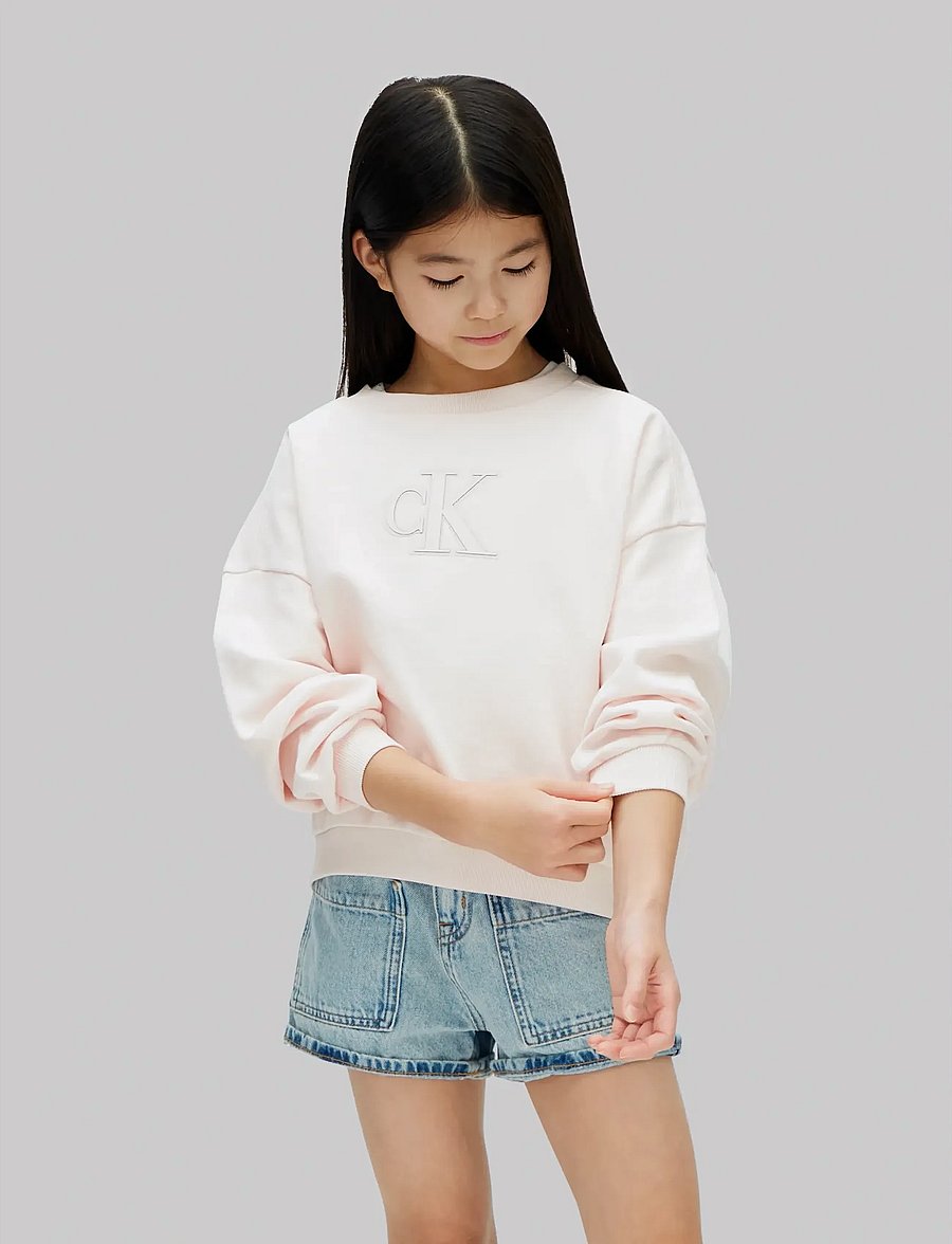 Calvin Klein - CK CREWNECK SWEATSHIRT - sweatshirts - pearl 12-1304 tcx - 2
