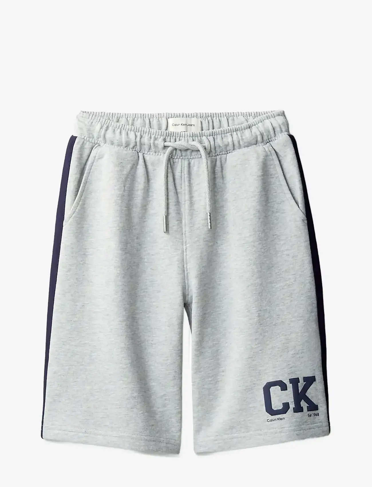 Calvin Klein - VARSITY RELAXED SHORTS - sweatshorts - 1-ltegreyht - 1