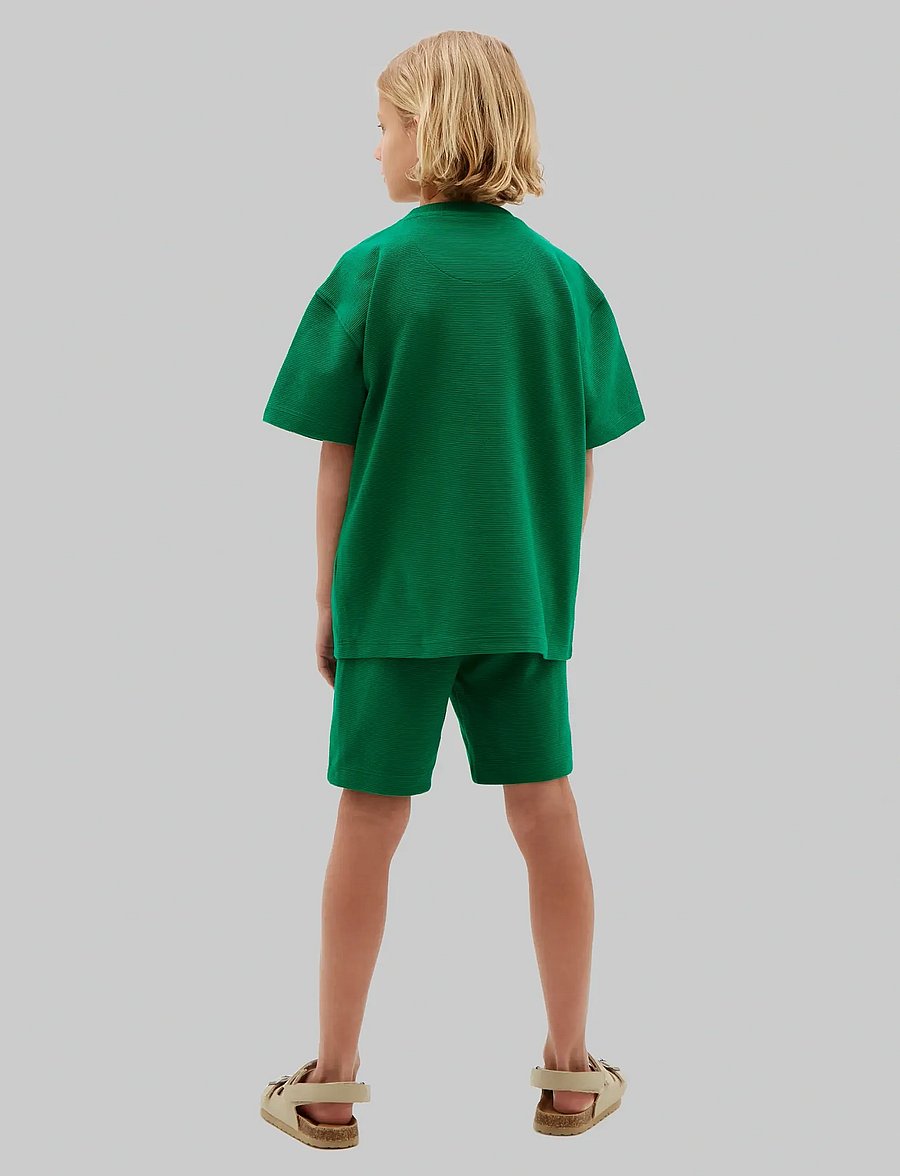 Calvin Klein - OTTOMAN T-SHIRT/SHORTS SET - sets mit kurzärmeligem t-shirt - lush meadow 18-5845 tcx - 2