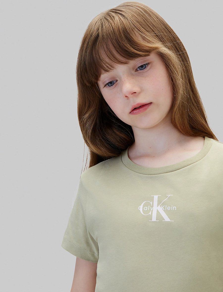 Calvin Klein - 2-PACK SLIM MONOLOGO T-SHIRT - short-sleeved t-shirts - elm manganocalcite - 4