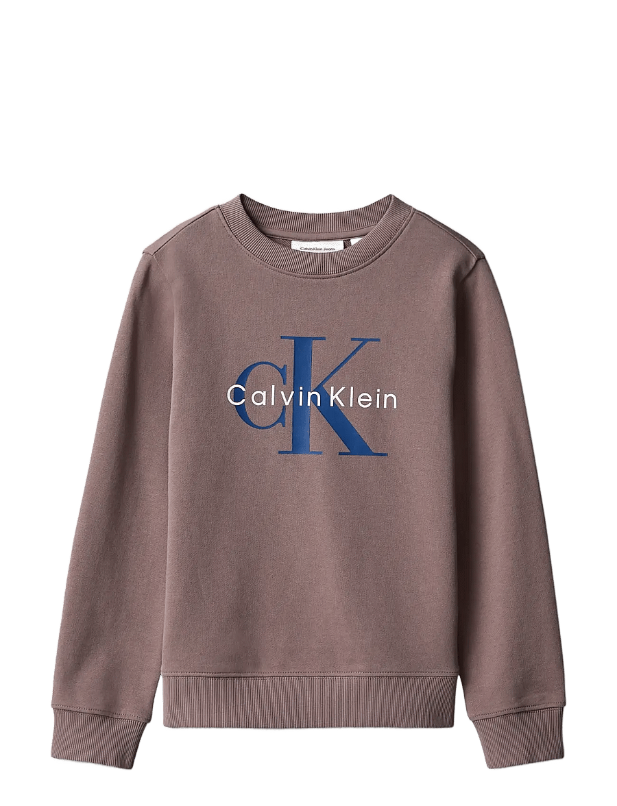 Calvin Klein - CK MONOLOGO CN - sweatshirts - iron - 1