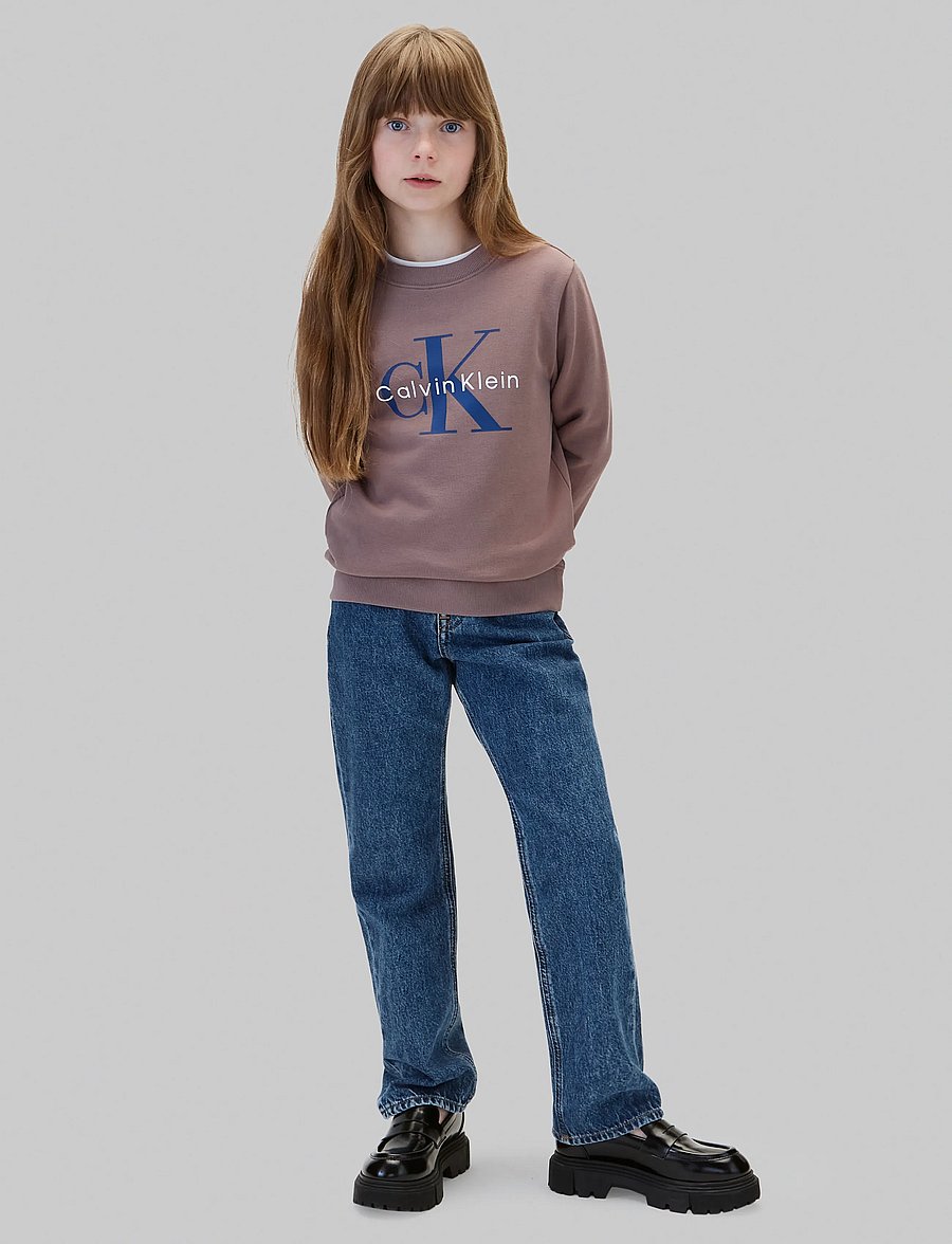 Calvin Klein - CK MONOLOGO CN - sweatshirts - iron - 0