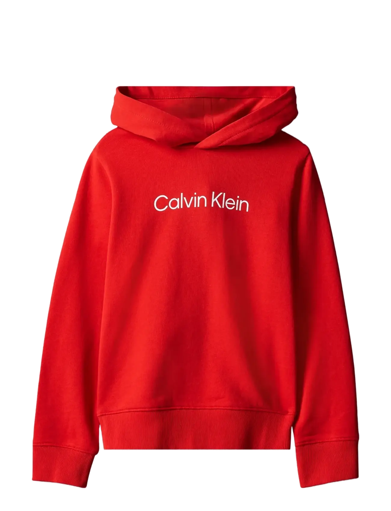 Calvin Klein INST. LOGO REG. TERRY HOODIE - Kapuutsiga dressipluusid - GOJI BERRY / red