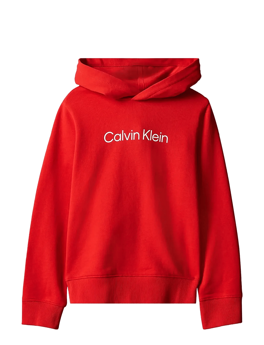 Calvin Klein - INST. LOGO REG. TERRY HOODIE - hoodies - goji berry - 1