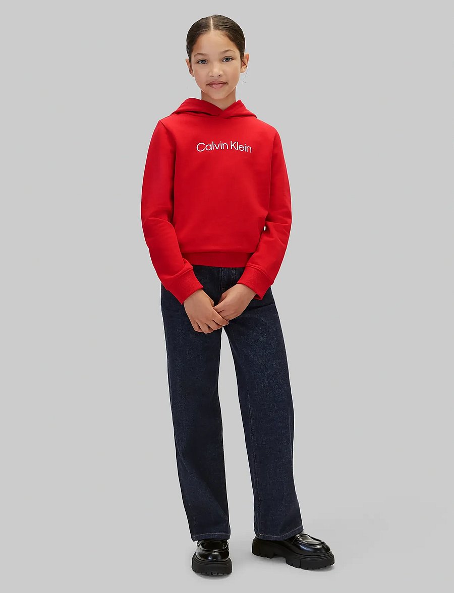 Calvin Klein - INST. LOGO REG. TERRY HOODIE - hoodies - goji berry - 5