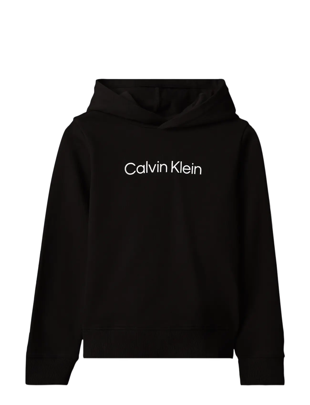 Calvin Klein INST. LOGO REG. TERRY HOODIE - Kapuzenpullover - PVH BLACK / black