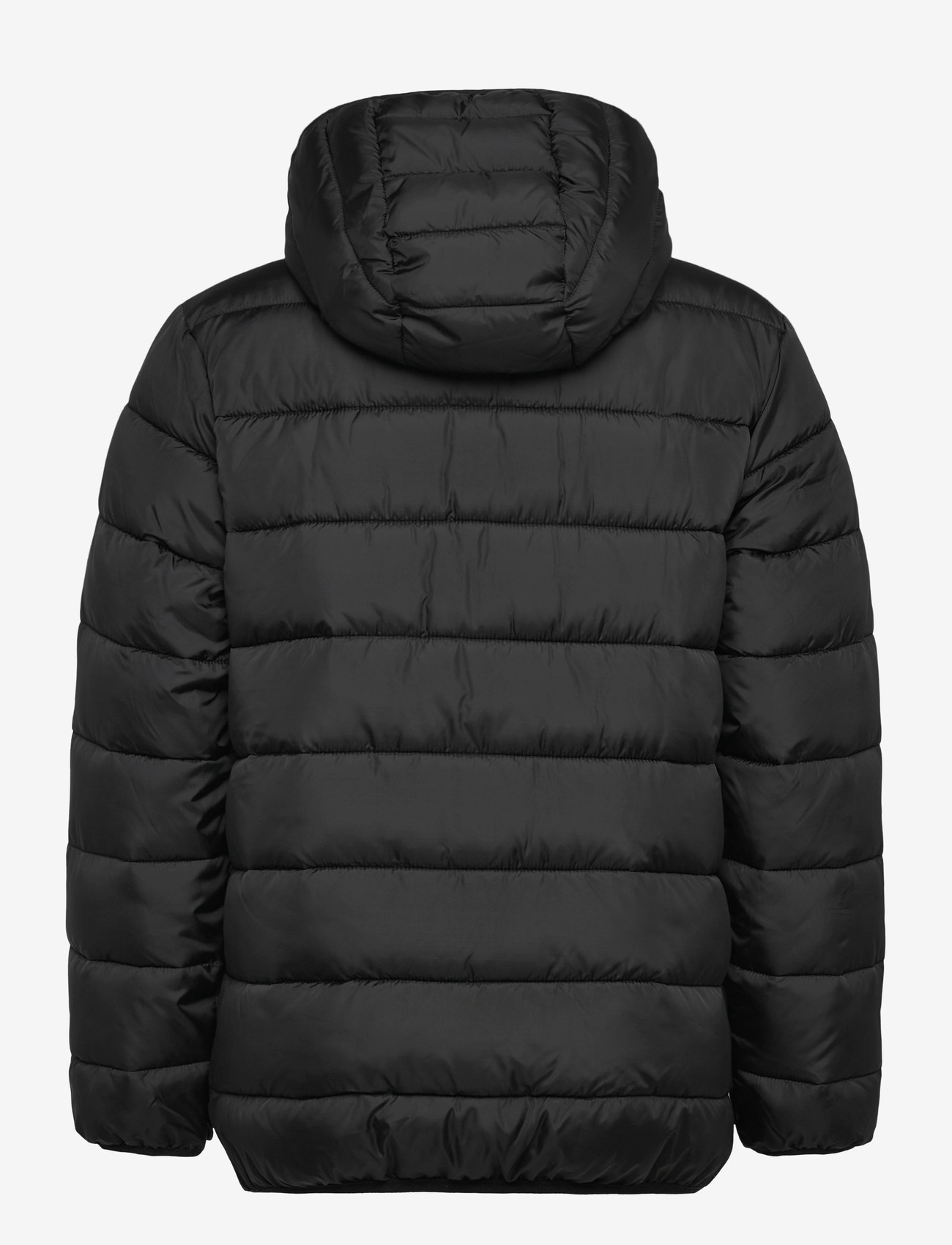 Calvin Klein - CK MONOGRAM LIGHT PADDED JACKET - winterjacke - pvh black - 2