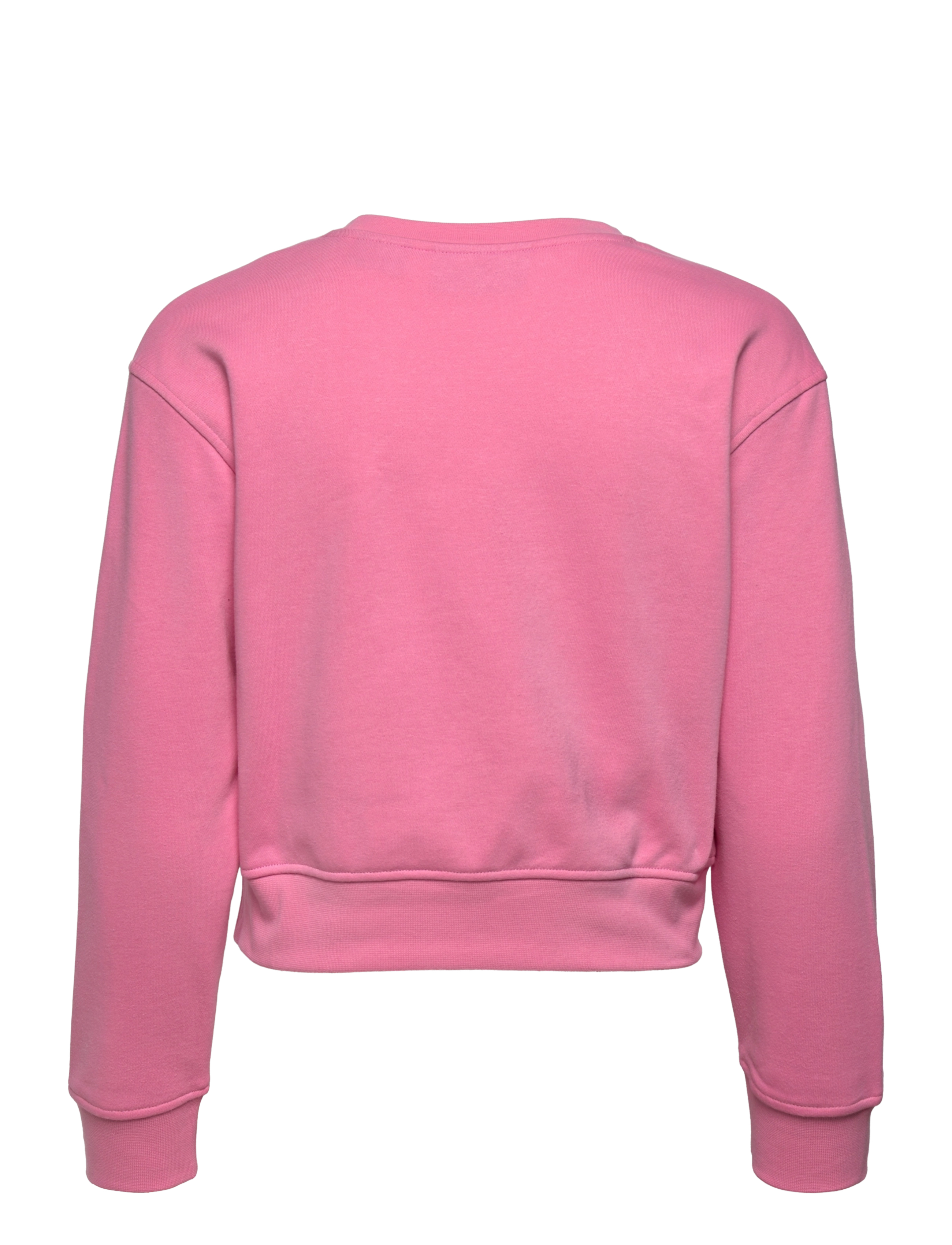 Calvin Klein Performance - PW - Pullover - rosebloom - 1