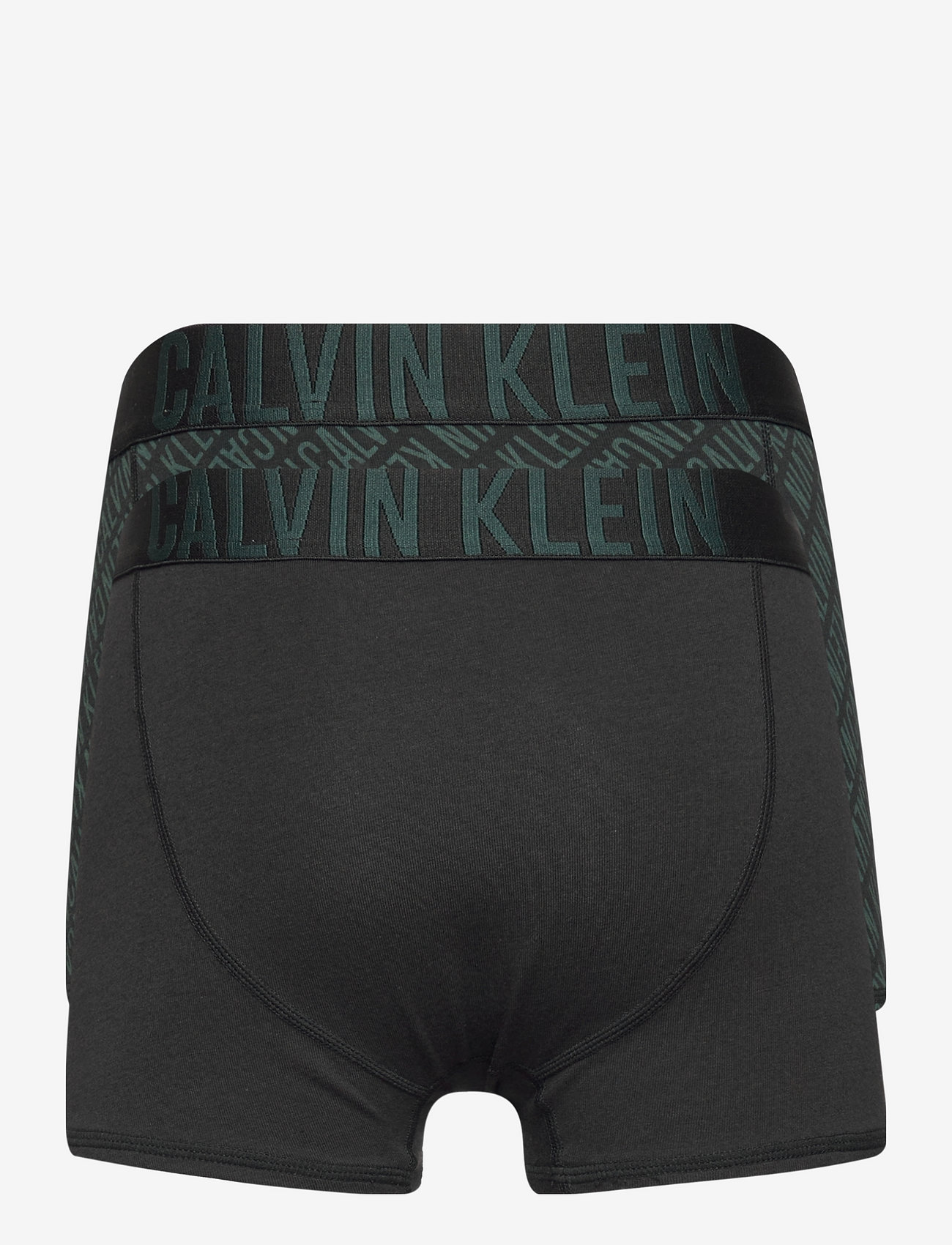 Calvin Klein - 2PK TRUNKS - iplogogreenaop/pvhblack - 1