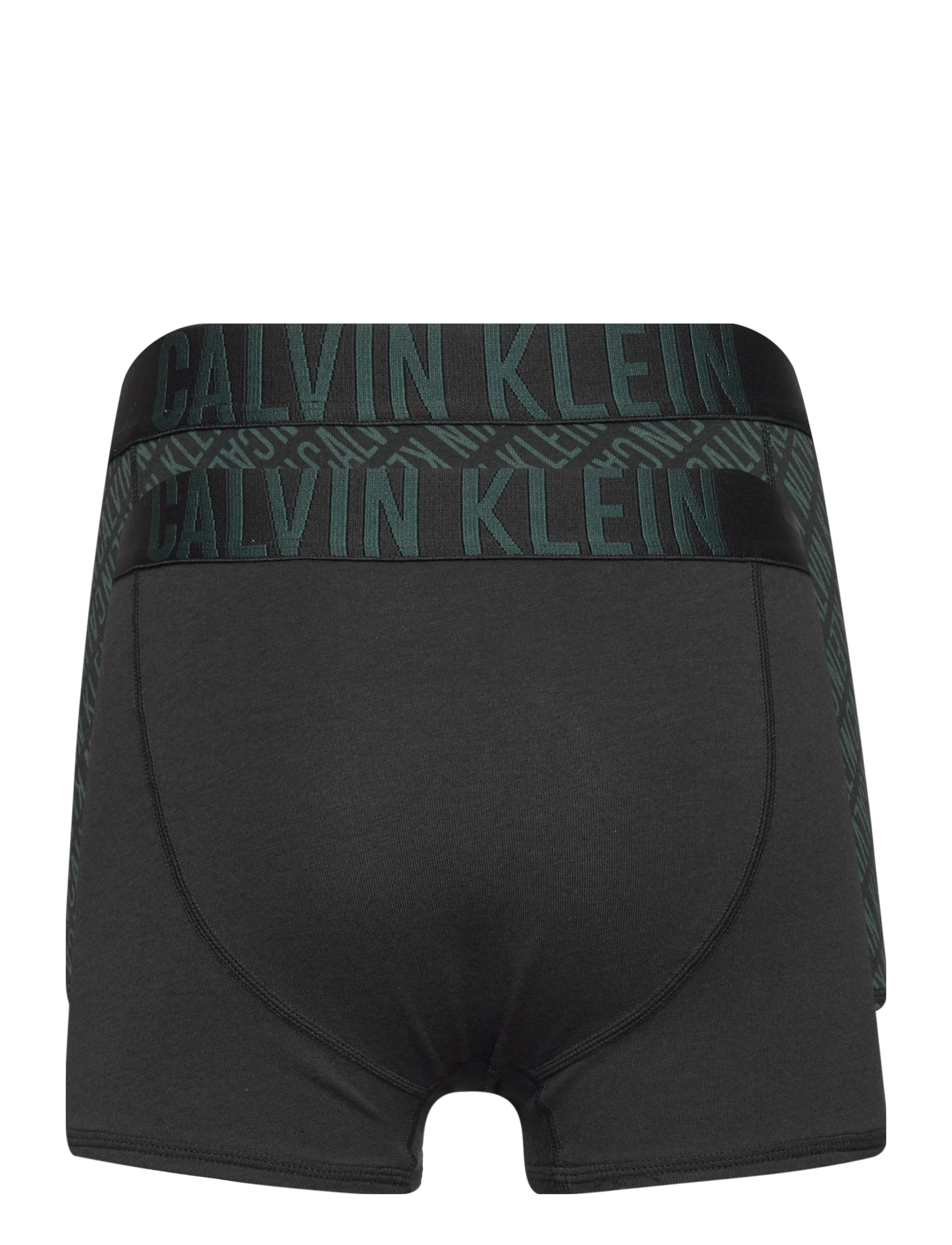 Calvin Klein - 2PK TRUNKS - iplogogreenaop/pvhblack - 1