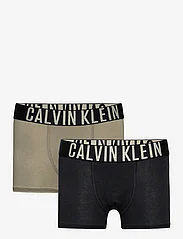 Calvin Klein - 2PK TRUNK - apatinės kelnaitės - moldedclay/pvhblack - 0